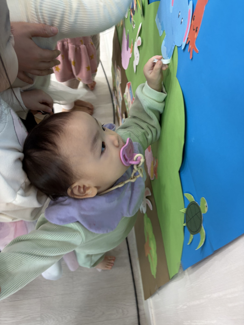 3e3dc97c63119404258b7d9fdb90106c_1769311